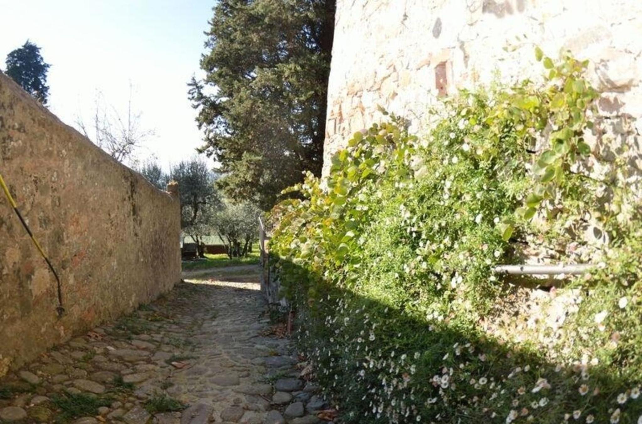Ferienhaus für 4 Personen ca 70 qm in San Gennaro, Toskana Provinz Lucca view 4