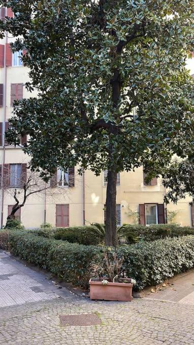 Casa Oliva_ Your Home in Rome