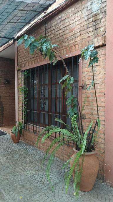 Casa Pancha
