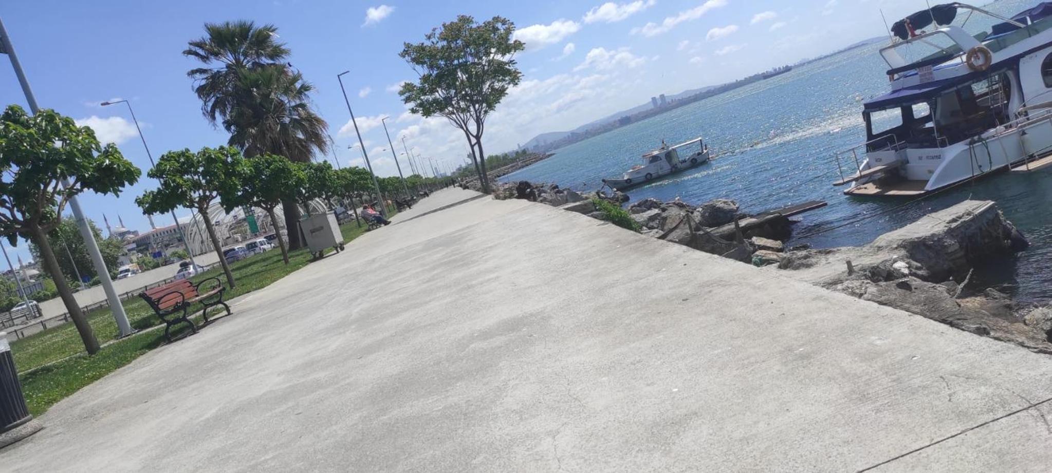 fafsuitehome - Image 26