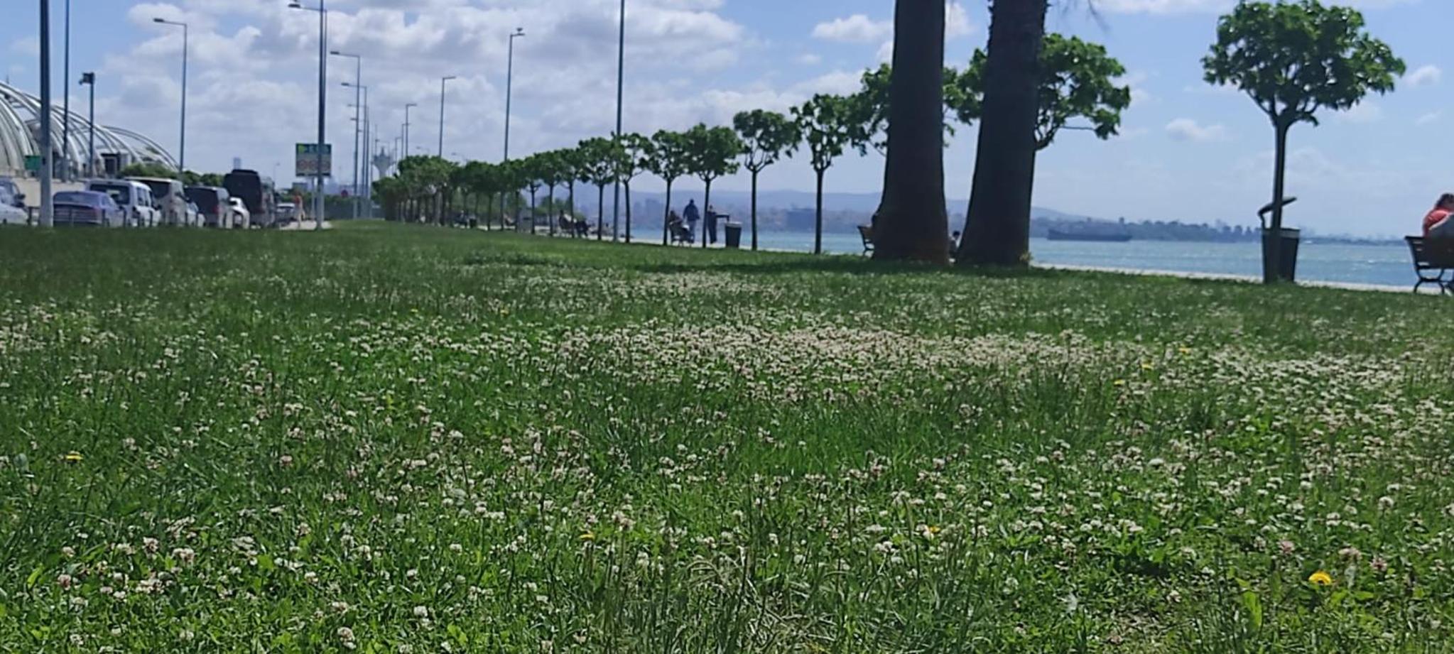 fafsuitehome - Image 30