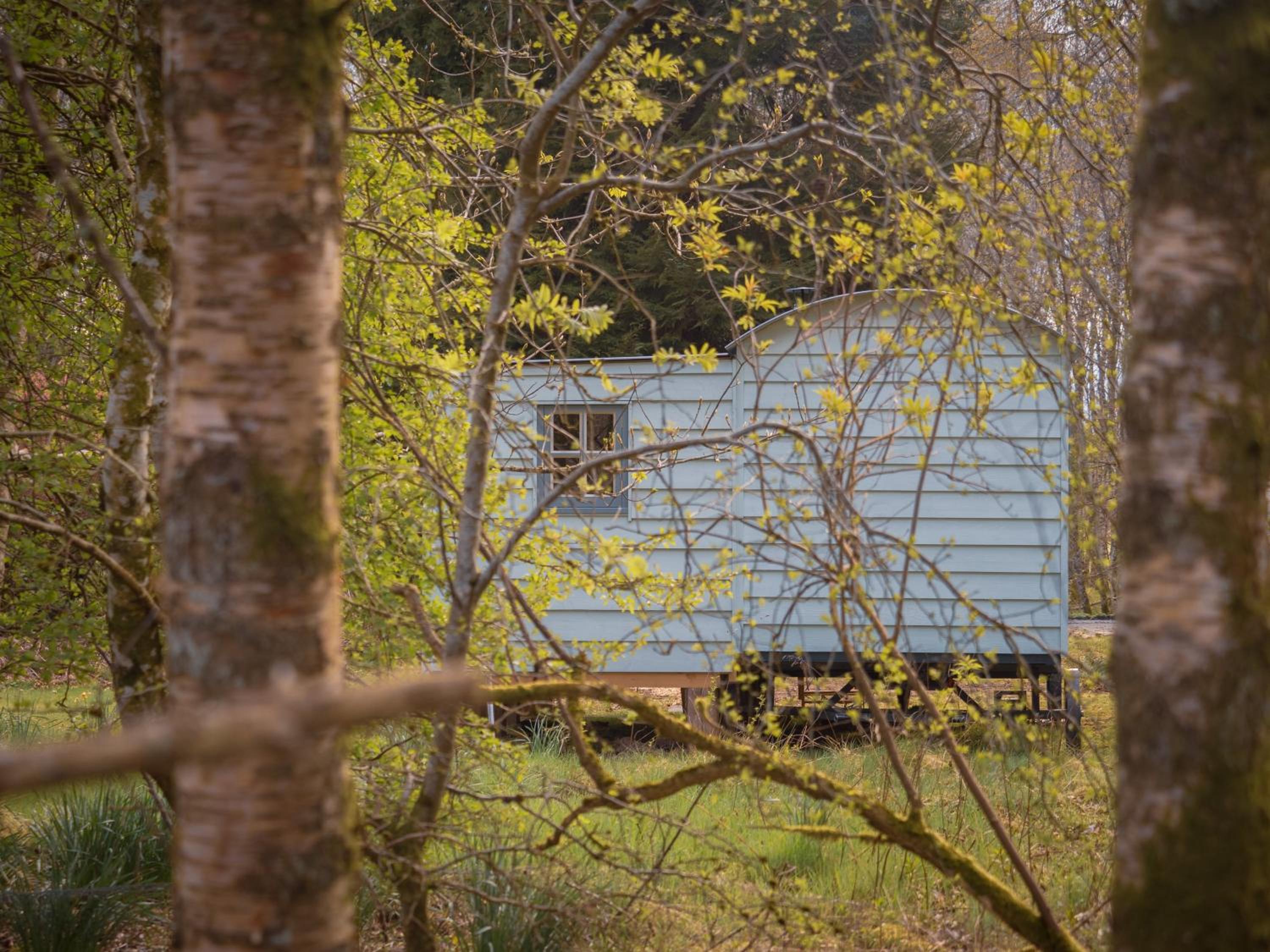 Bamff Ecotourism
