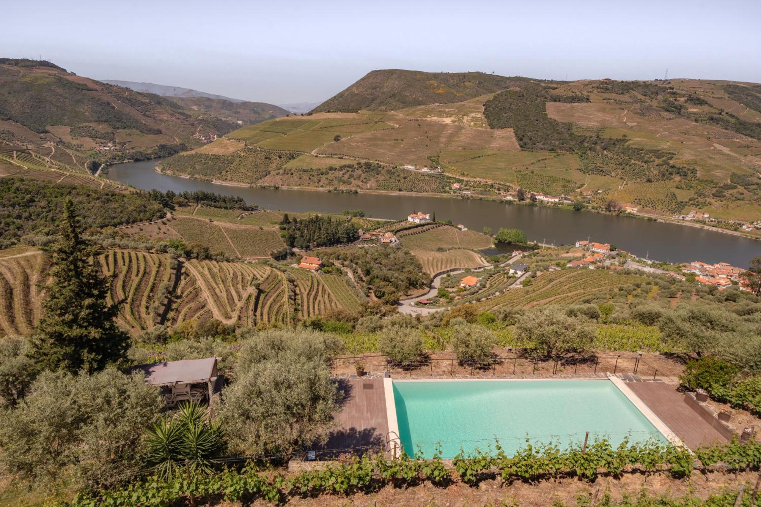 Feel Discovery Alvim's Douro view 2
