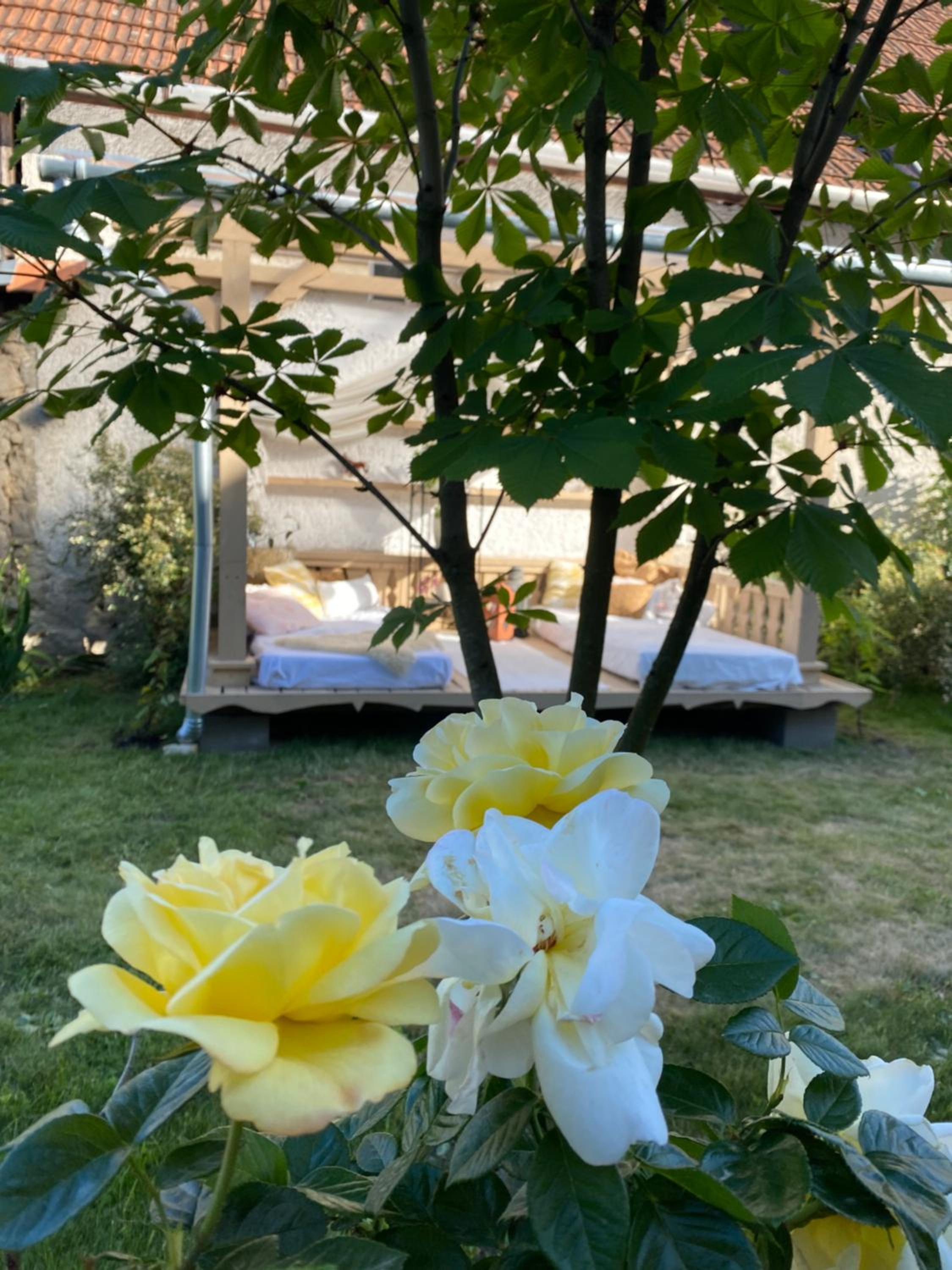 Kánya Veranda