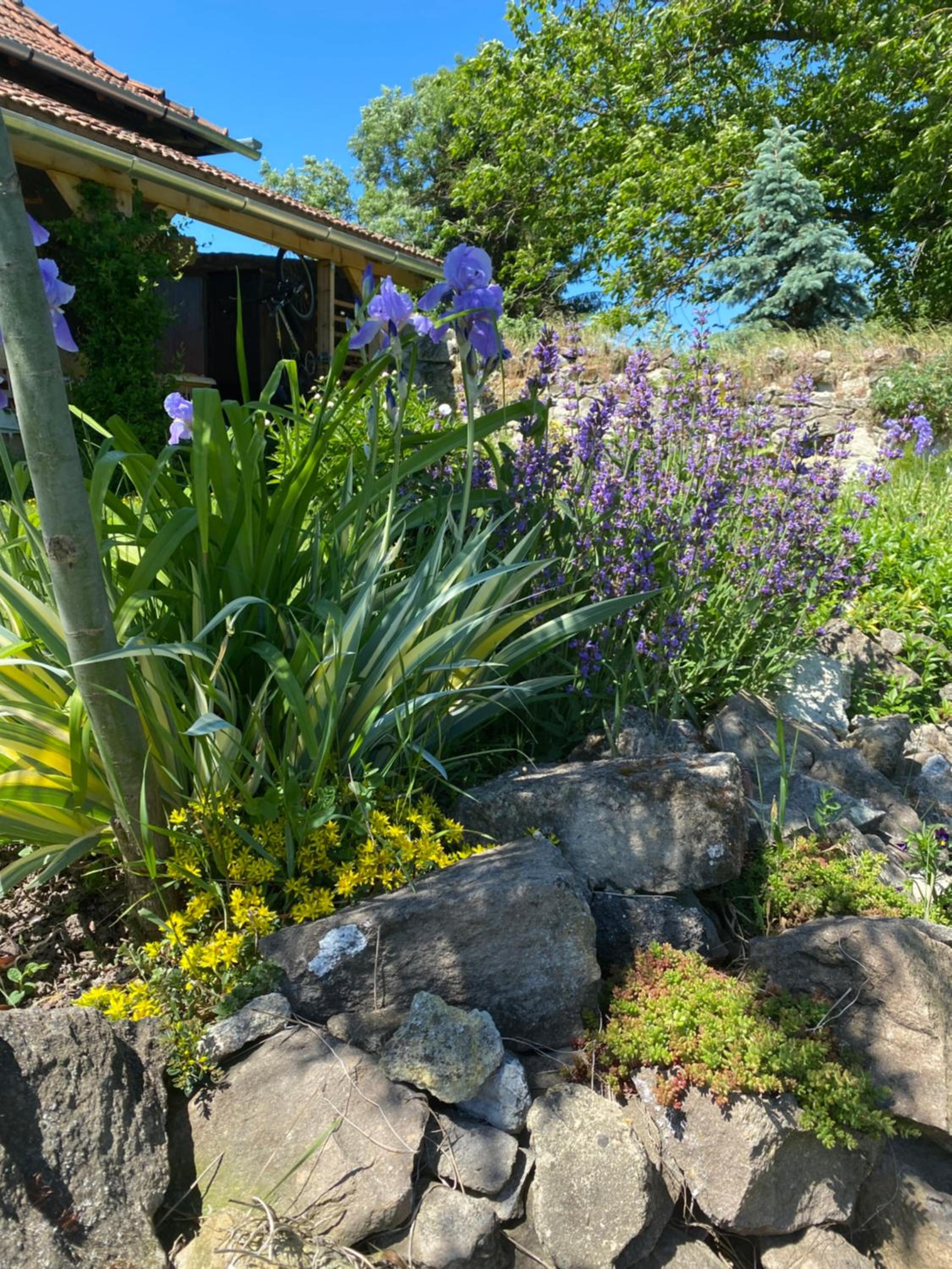 Kánya Veranda