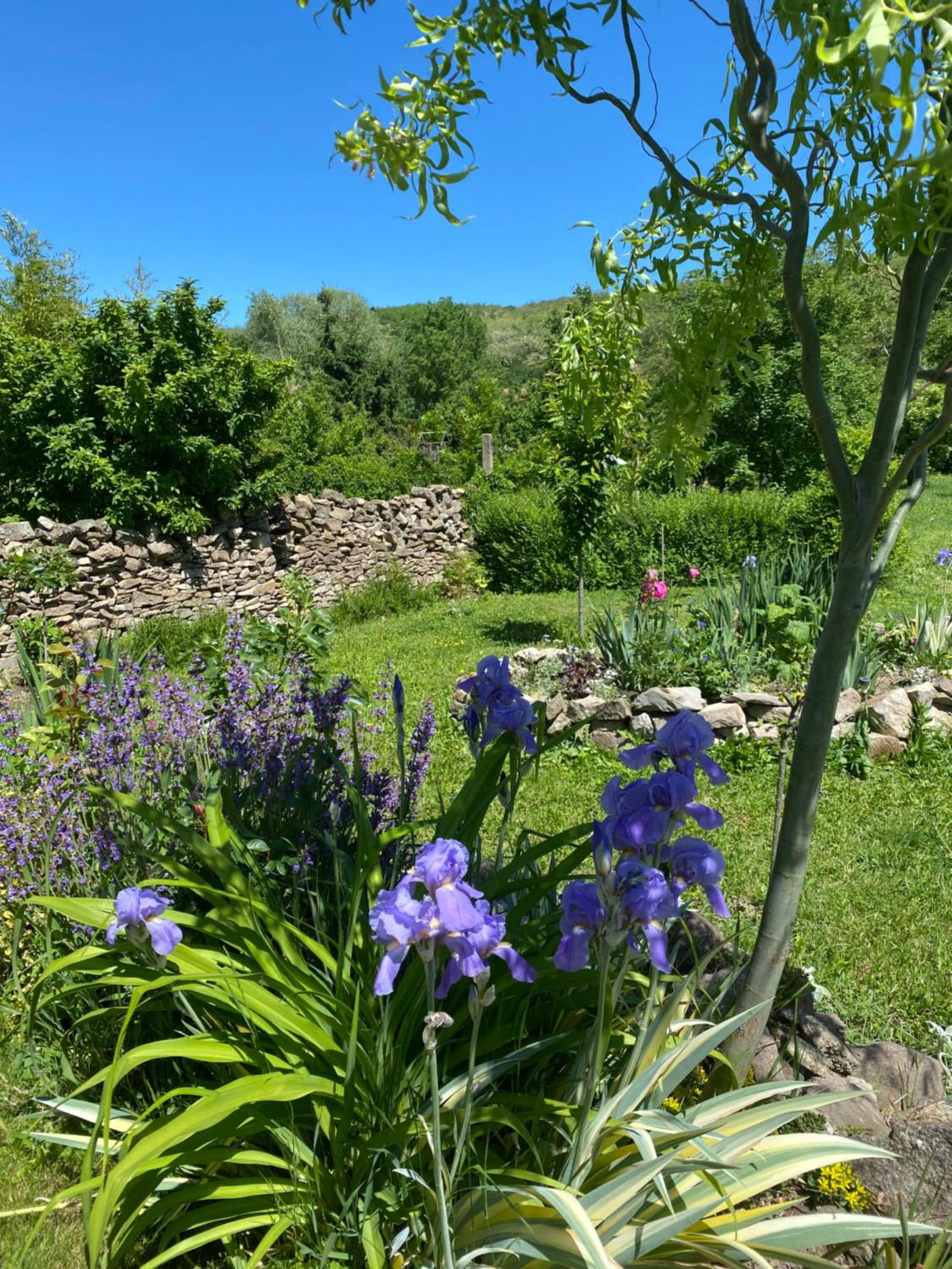 Kánya Veranda