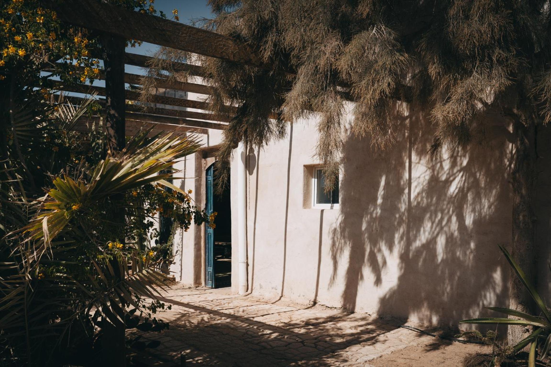 Surfiscamp Dakhla