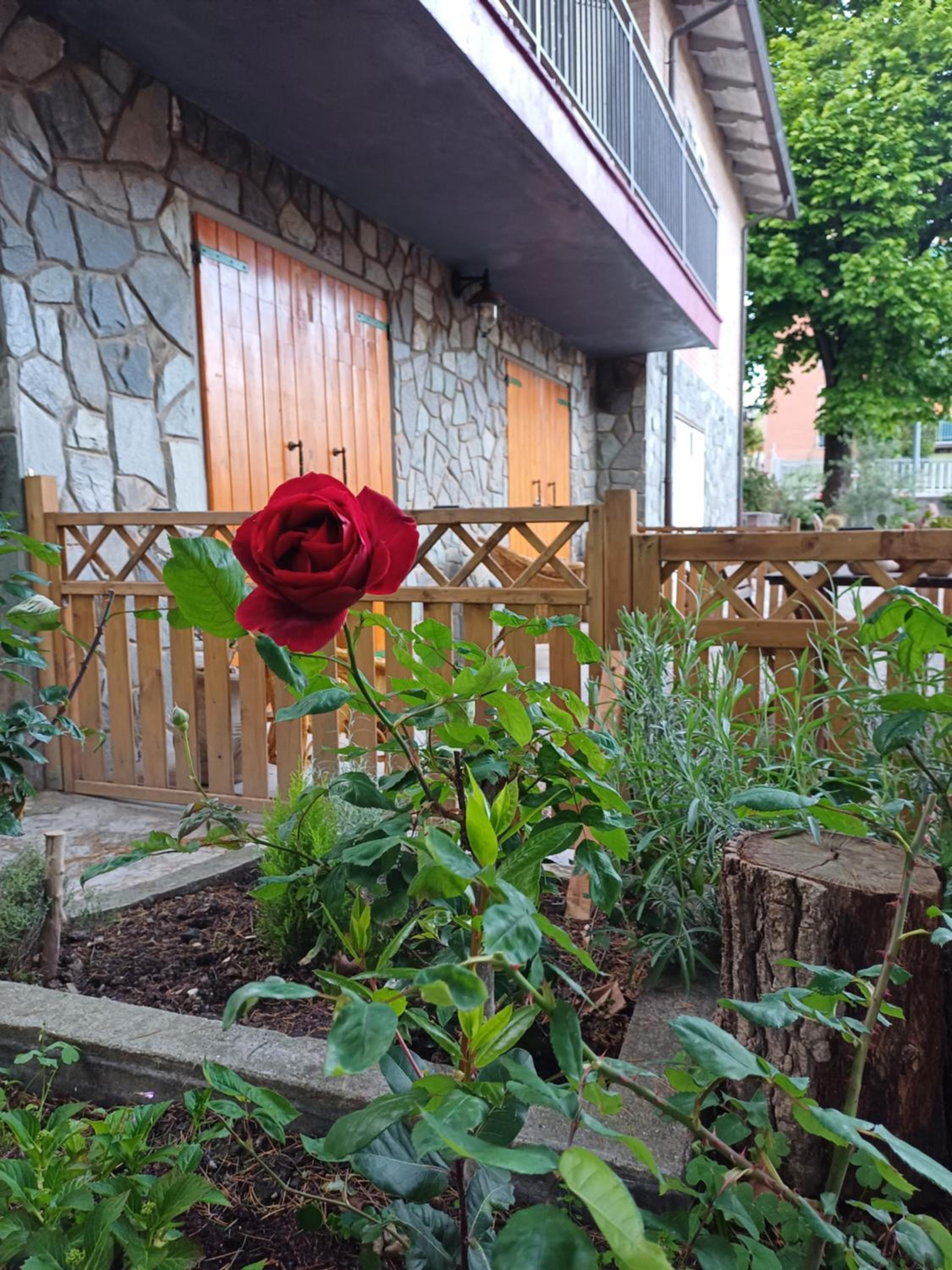 Photo 26