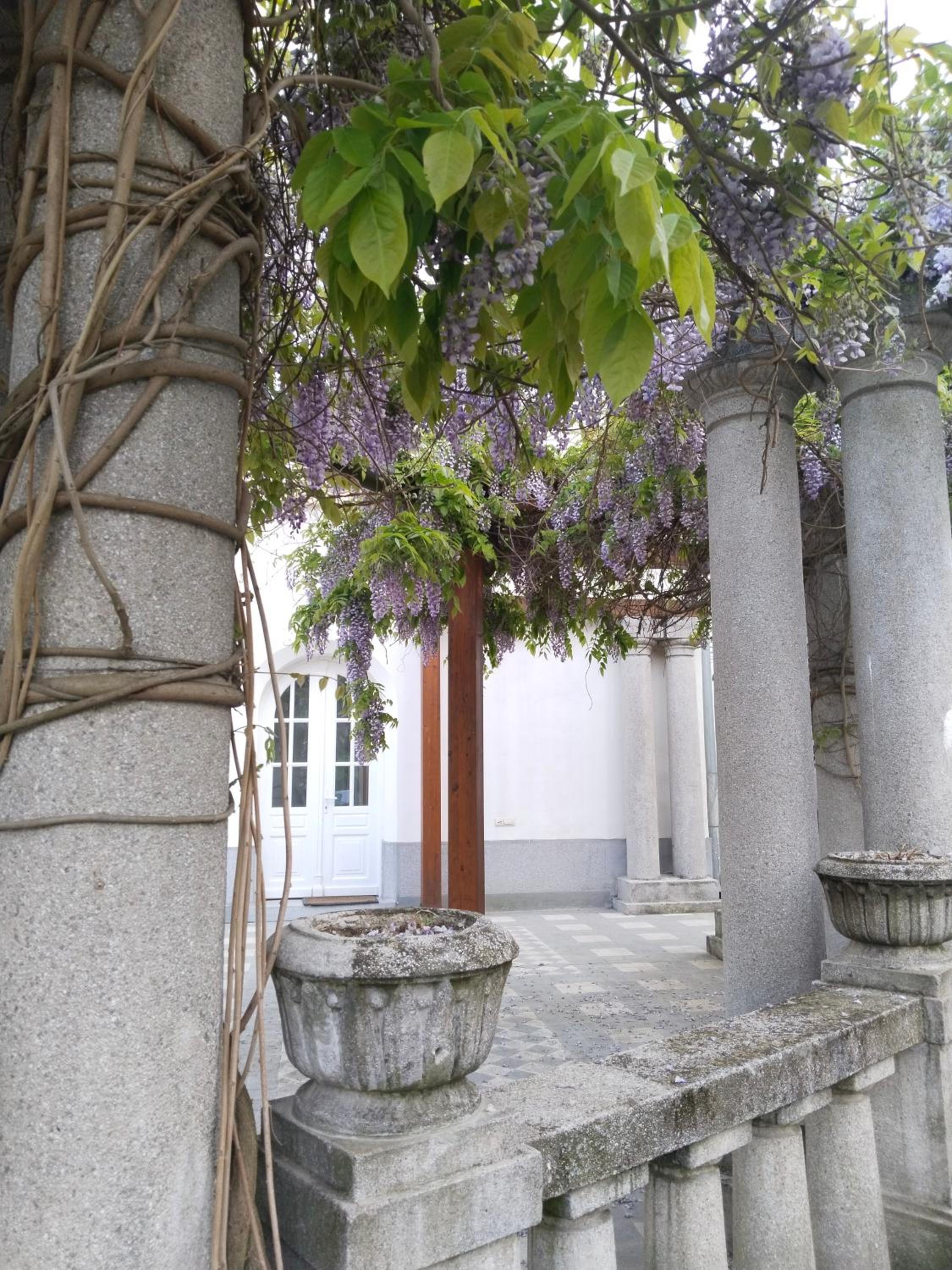 Apartman Sofia