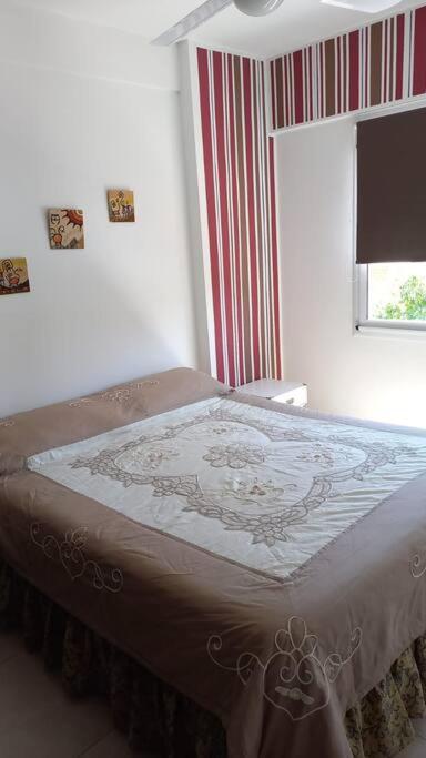 Departamento Aniceto Latorre