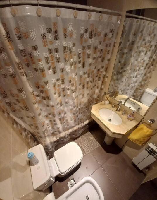 Departamento Aniceto Latorre