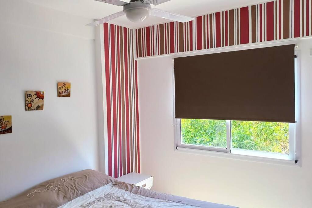 Departamento Aniceto Latorre