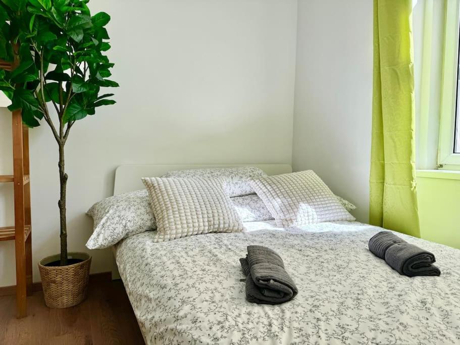Cosy Schönbrunn Studio