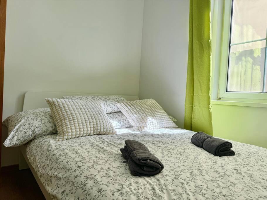 Cosy Schönbrunn Studio