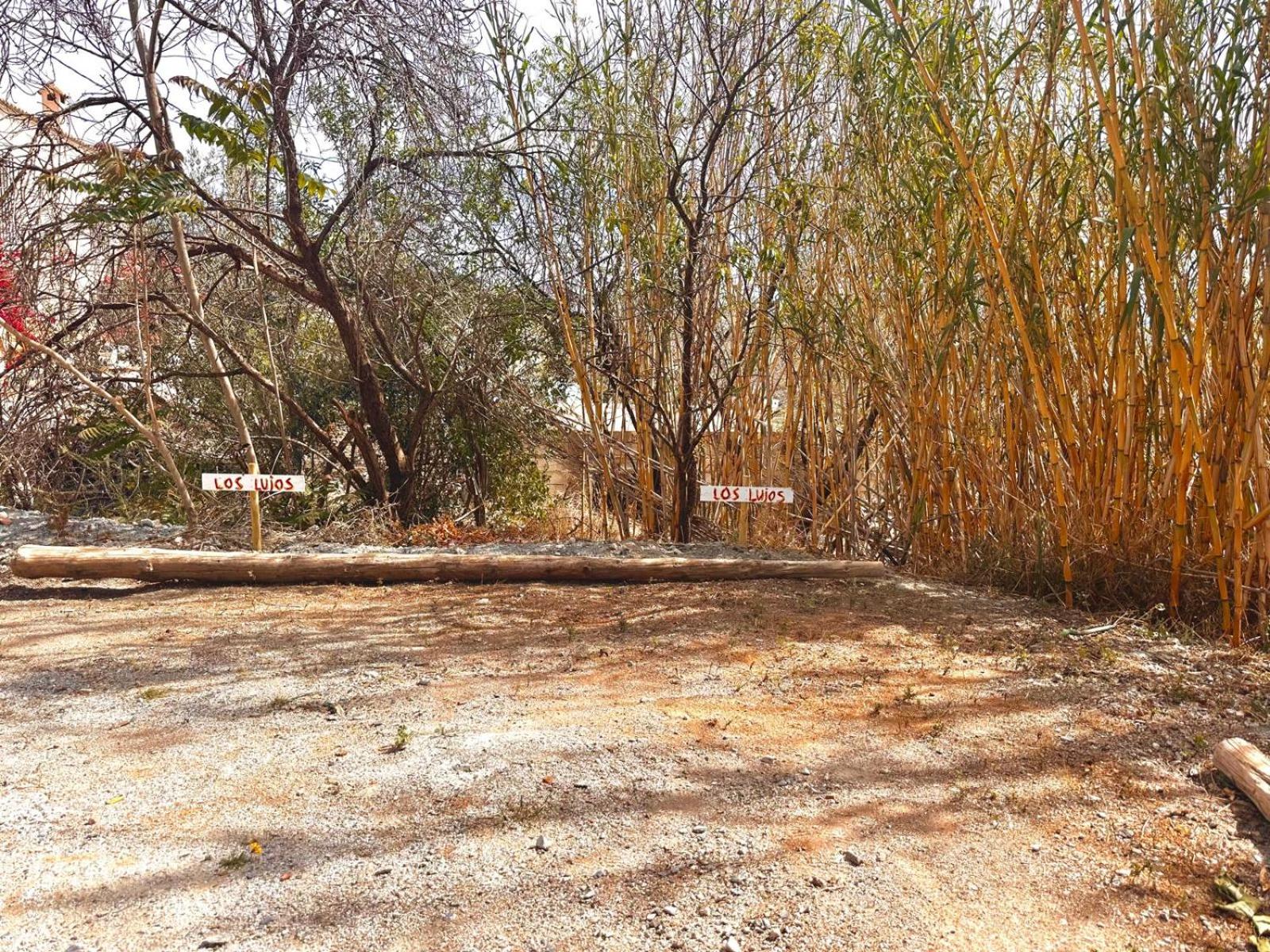 Photo 42