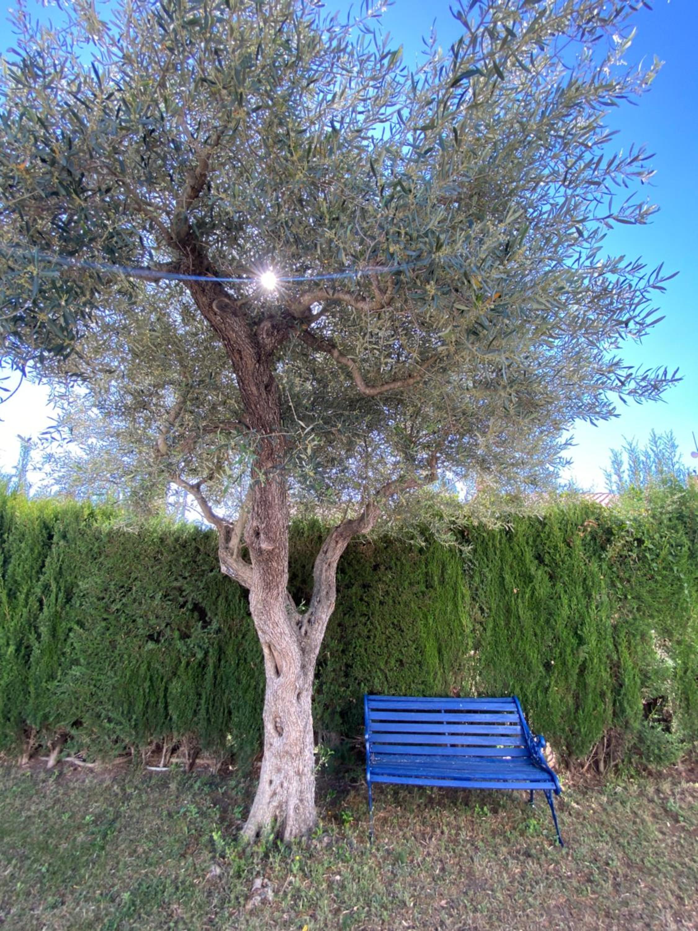 Villa Caramonte, en Costa Dorada