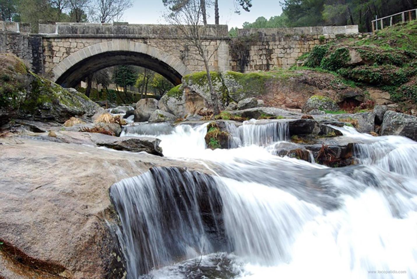 Casa Rivendel - Fantasía, Confort y Naturaleza