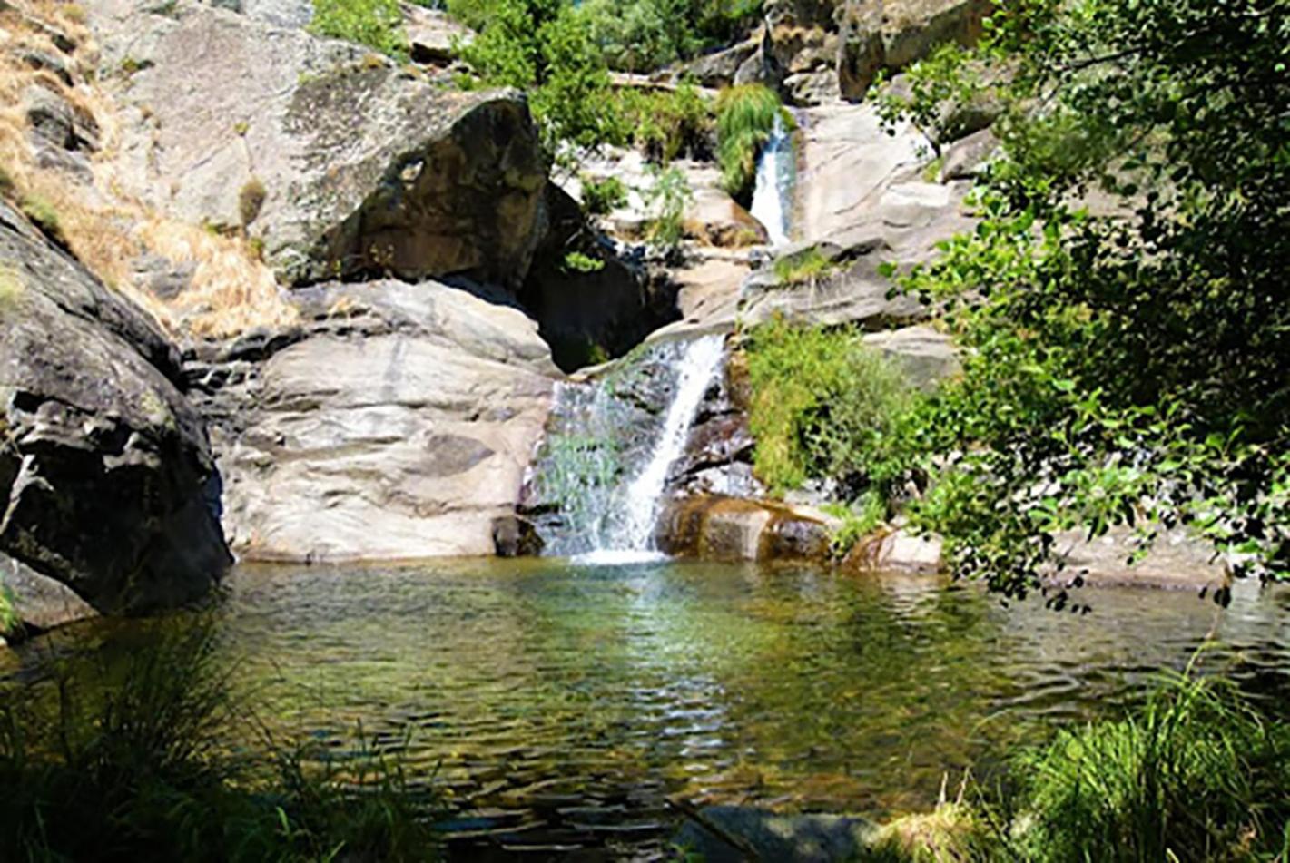 Casa Rivendel - Fantasía, Confort y Naturaleza