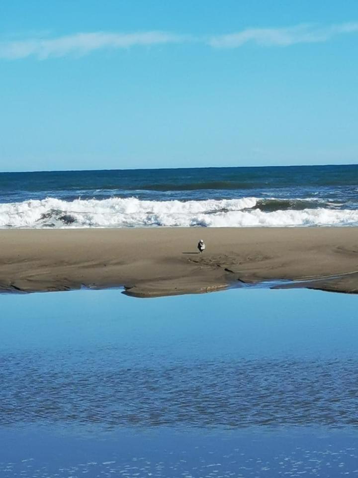 Les Corsaires direct plage près du port