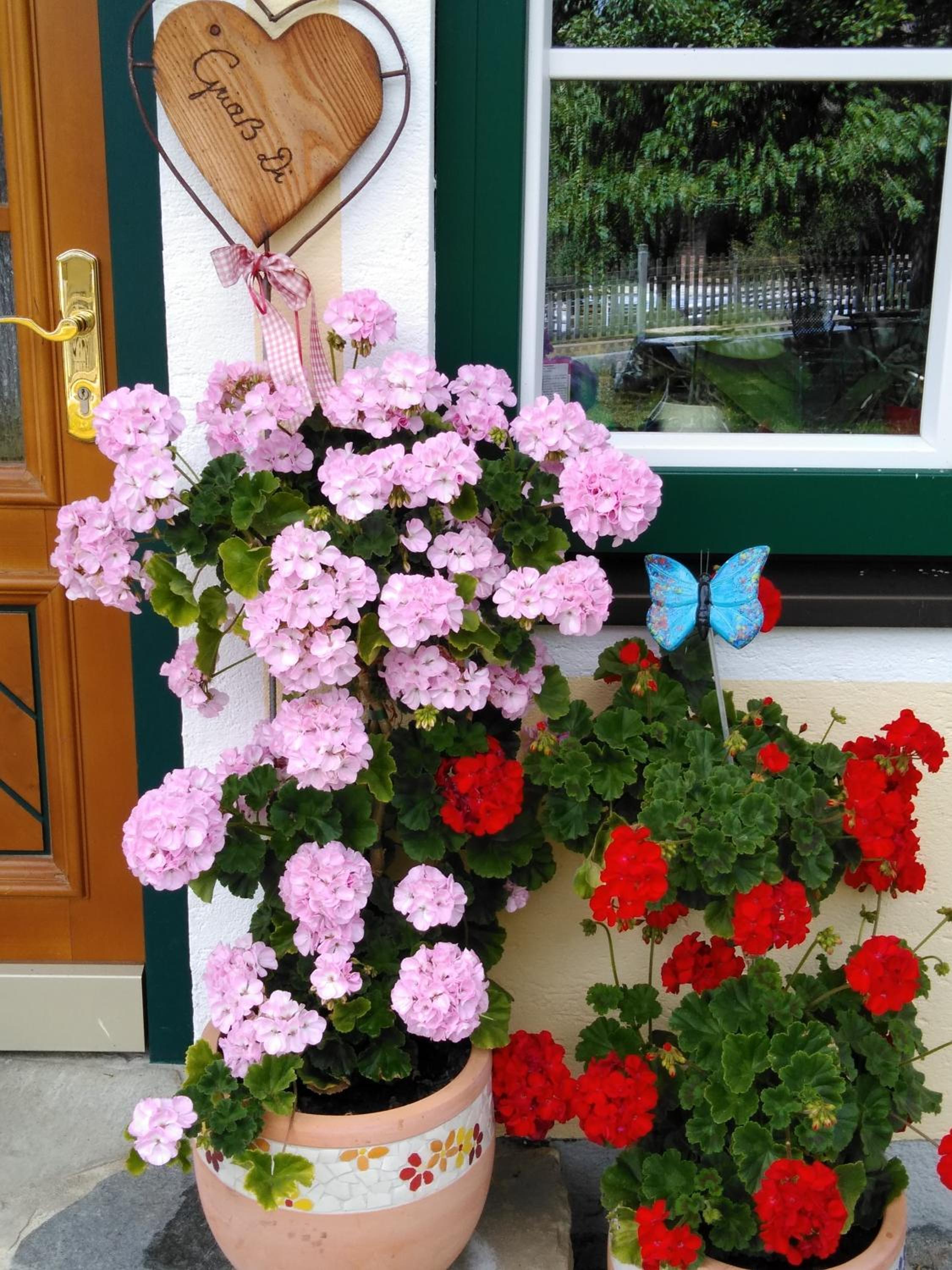 Linarhof Apartment Urlaub am Bio Bauernhof