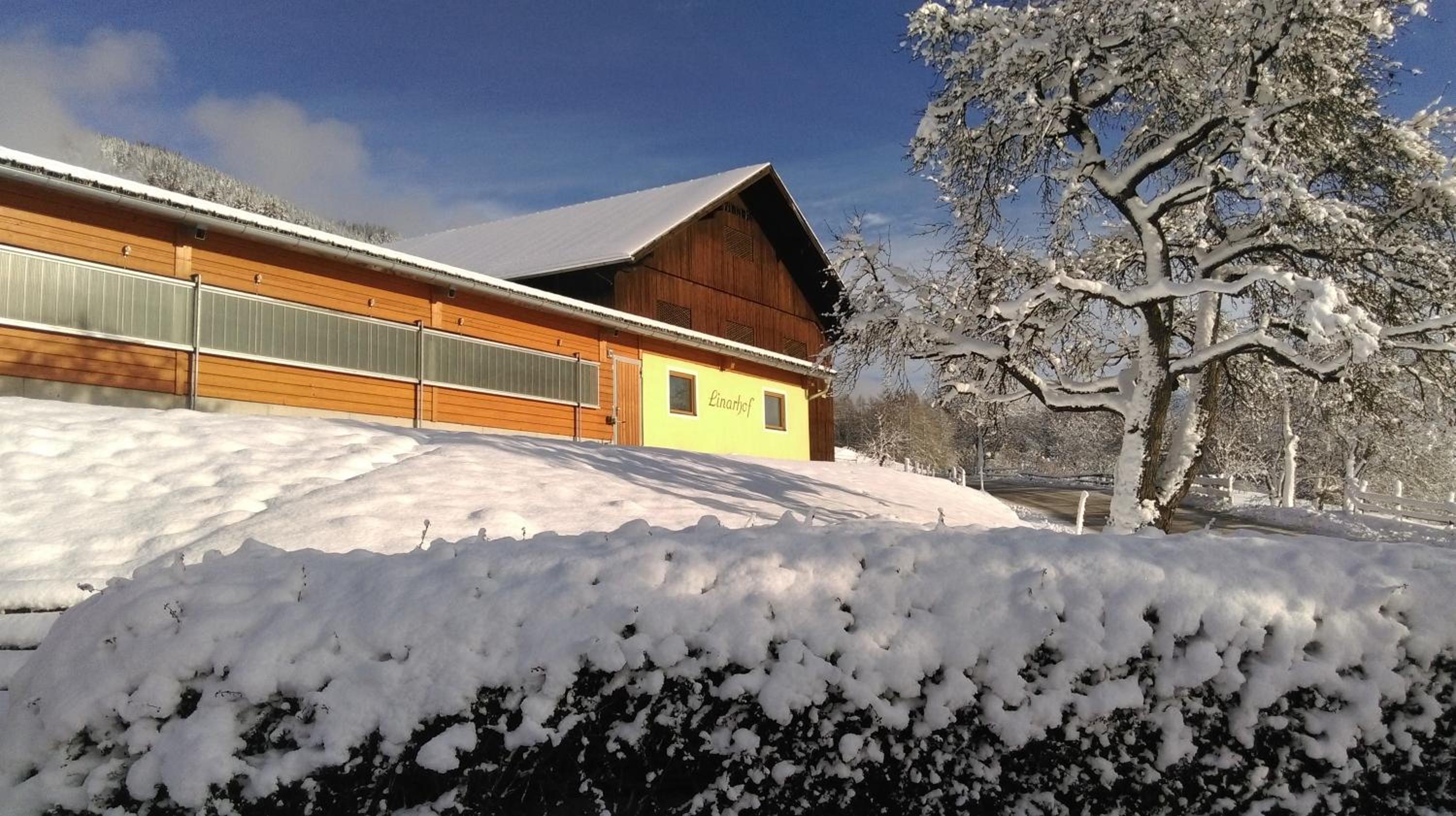 Linarhof Apartment Urlaub am Bio Bauernhof