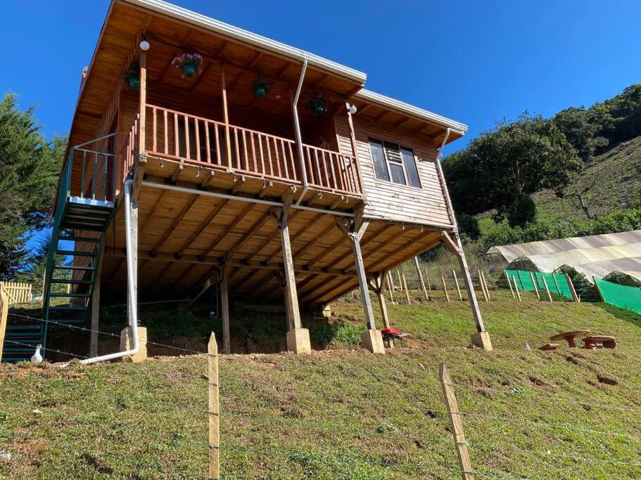 Cabaña Peacock – CUTE cabin with an AMAZING view!