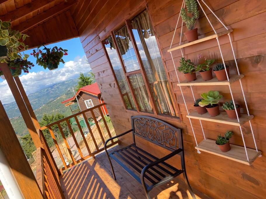 Cabaña Peacock – CUTE cabin with an AMAZING view!