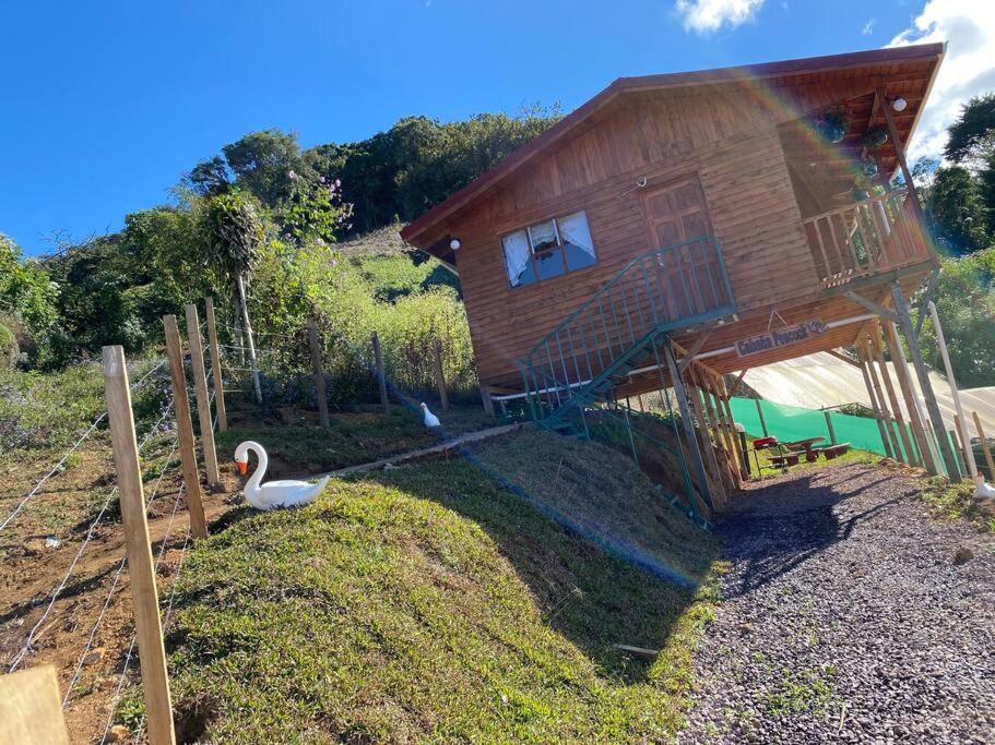Cabaña Peacock – CUTE cabin with an AMAZING view!