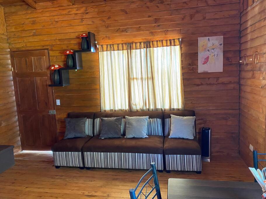 Cabaña Peacock – CUTE cabin with an AMAZING view!