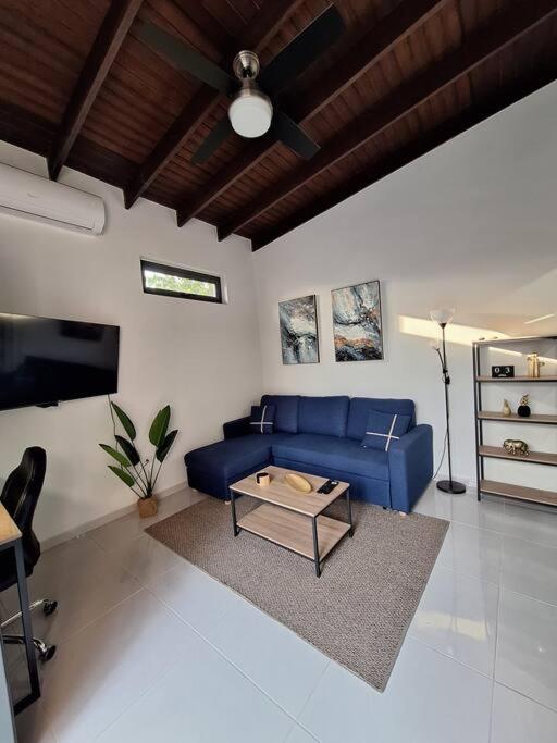Felicity Apartment