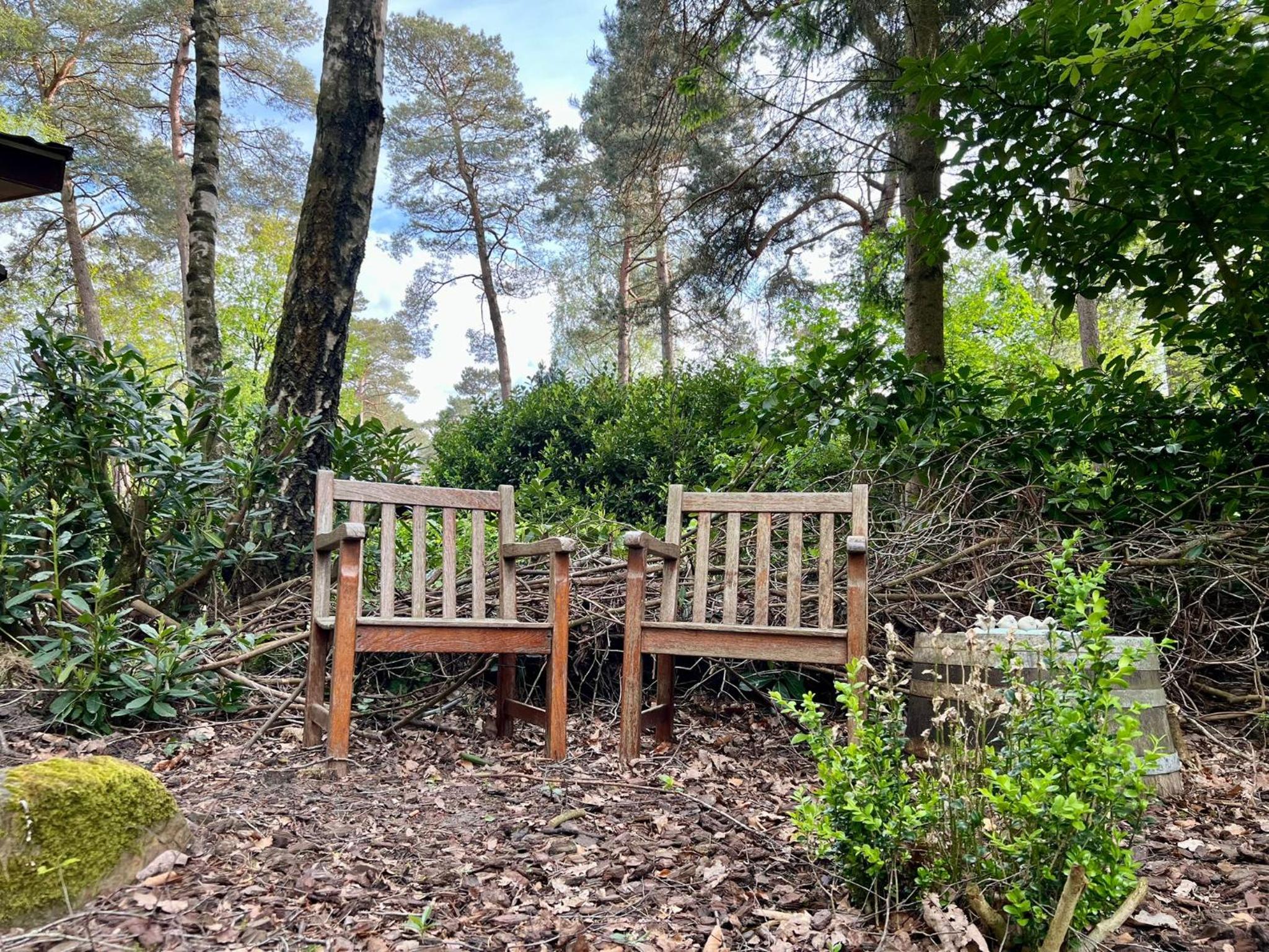 Kindvriendelijk sfeervol vakantiehuis Bosgeneugte bij zwembad op de Veluwe view 3