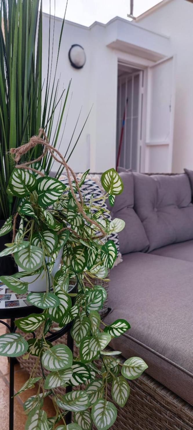 Apartamento Casa de Alba Cabo Cervera La Mata Torrevieja