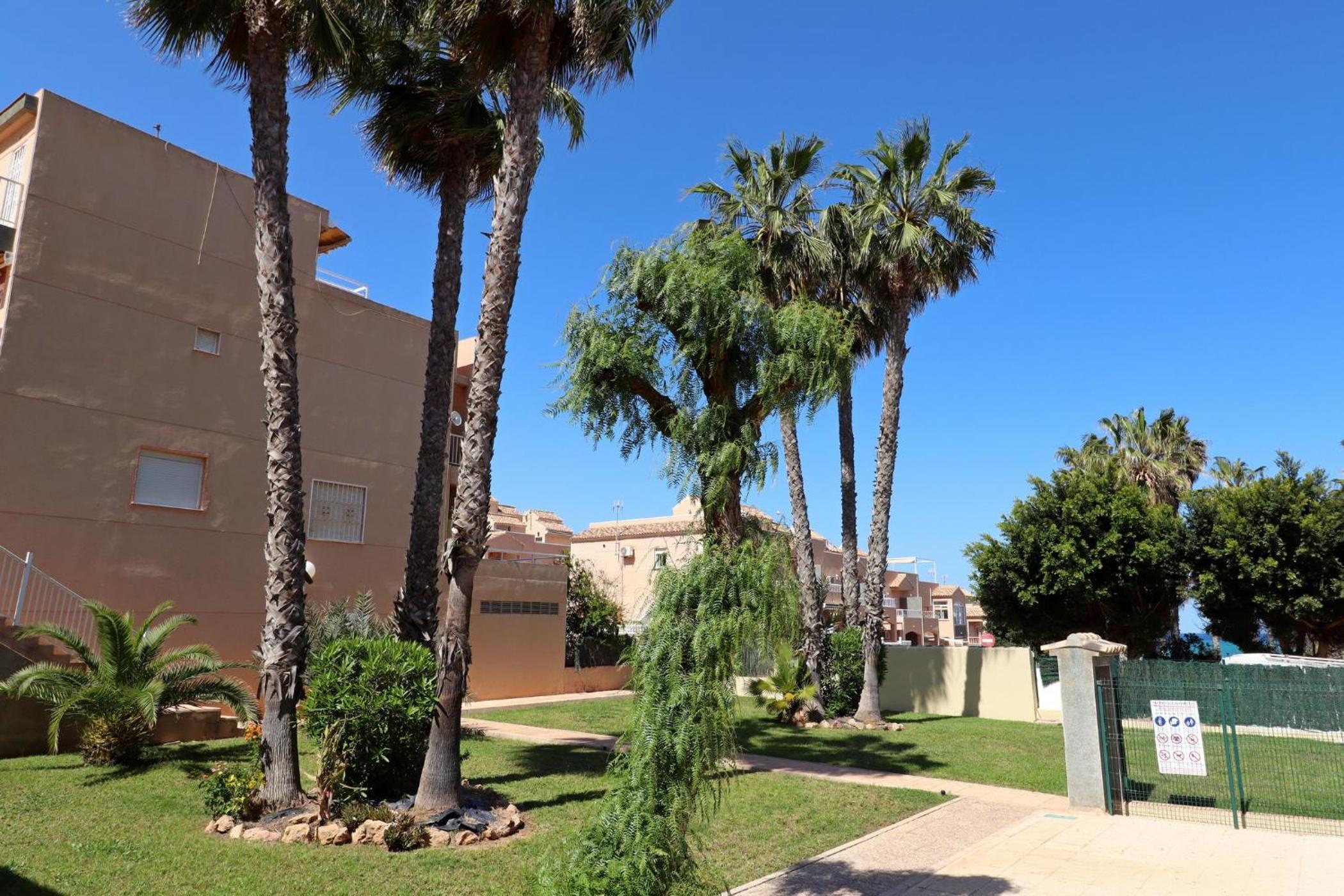 Apartamento Casa de Alba Cabo Cervera La Mata Torrevieja