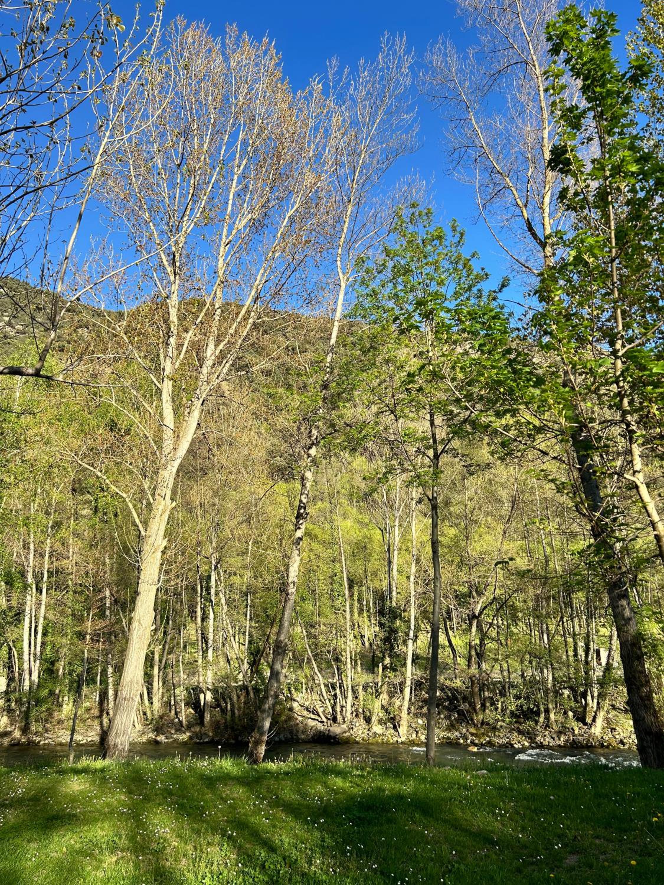 Camping Noguera Pallaresa