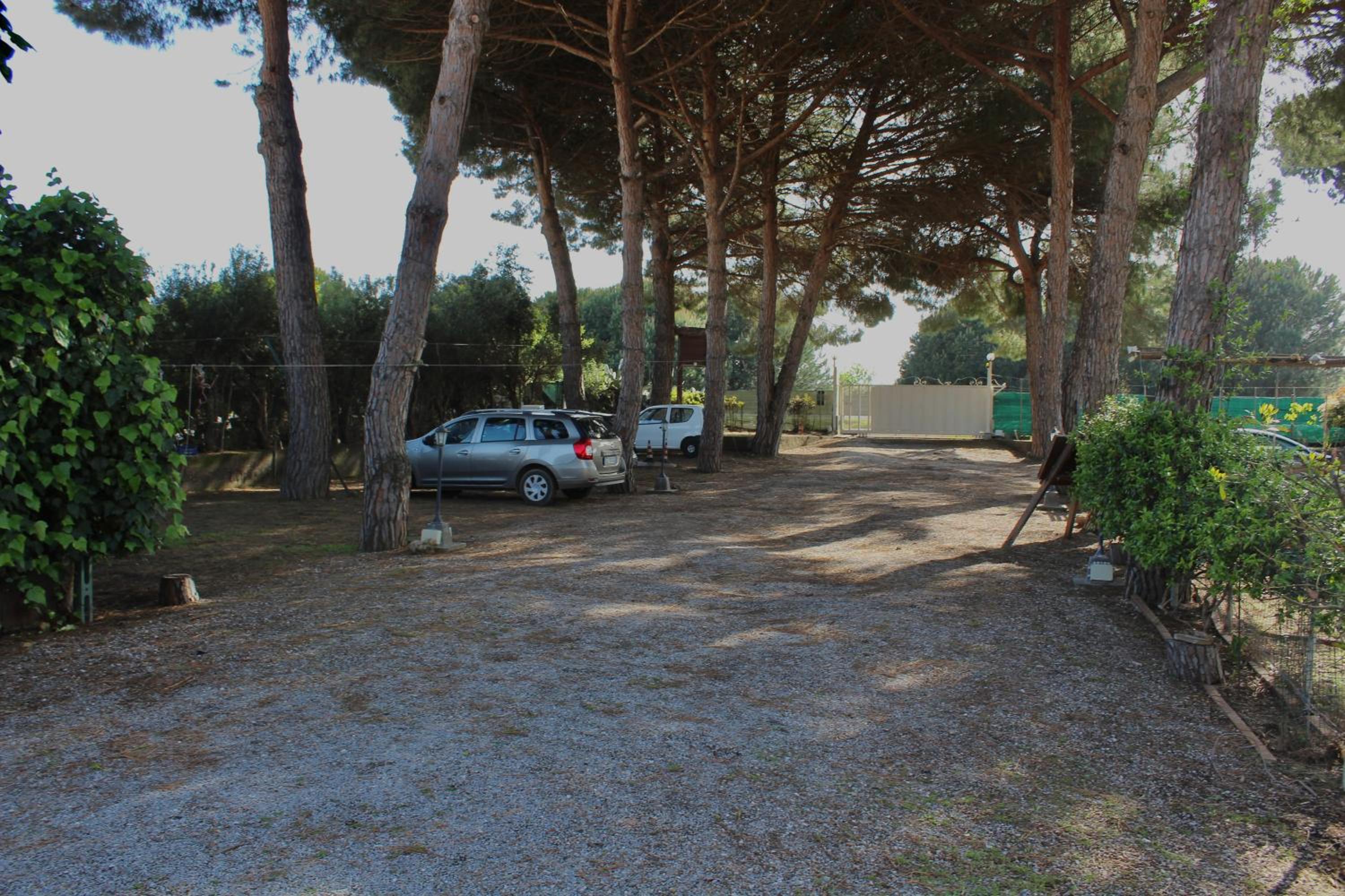 parking
