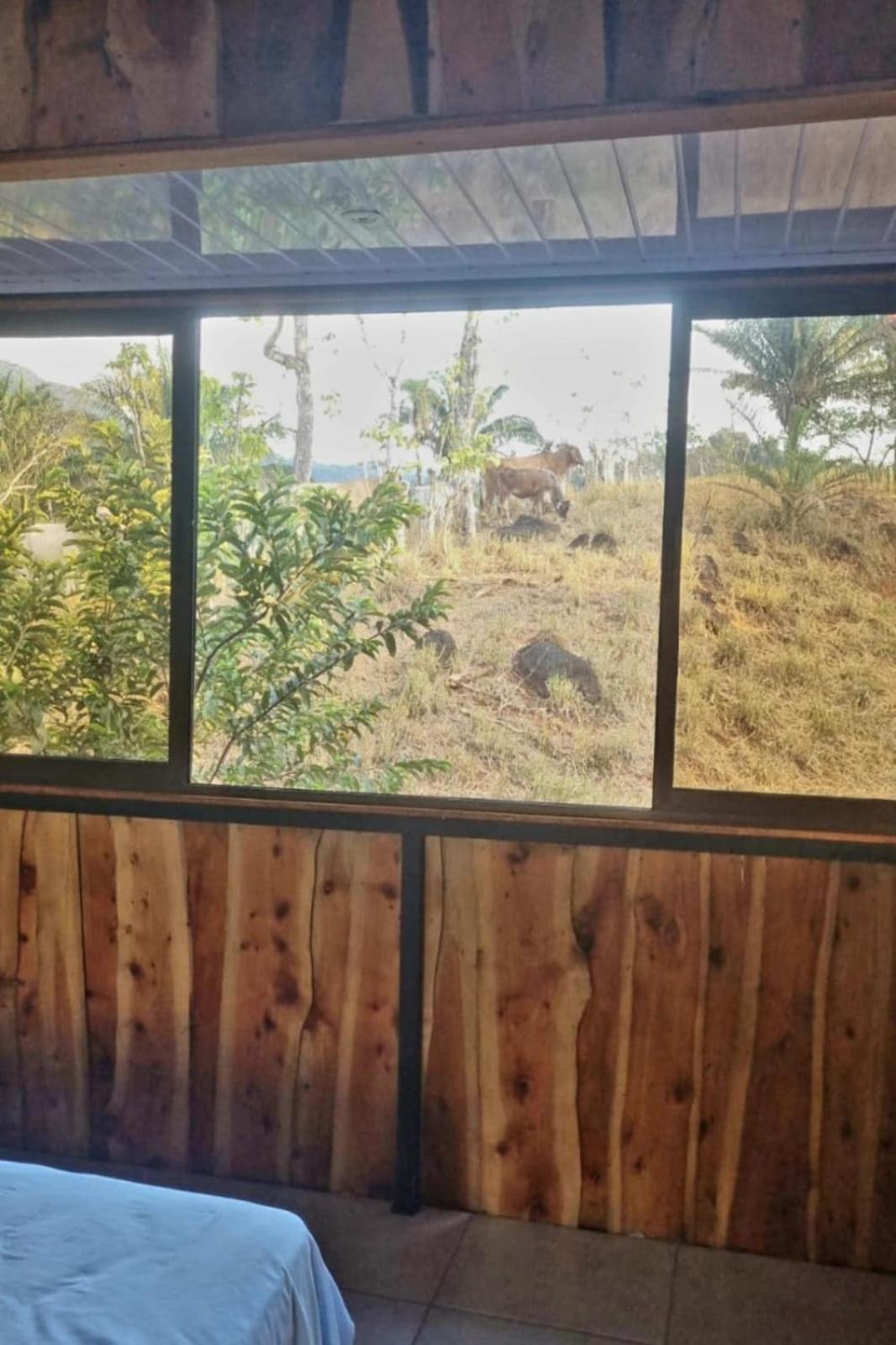 SL Hostel