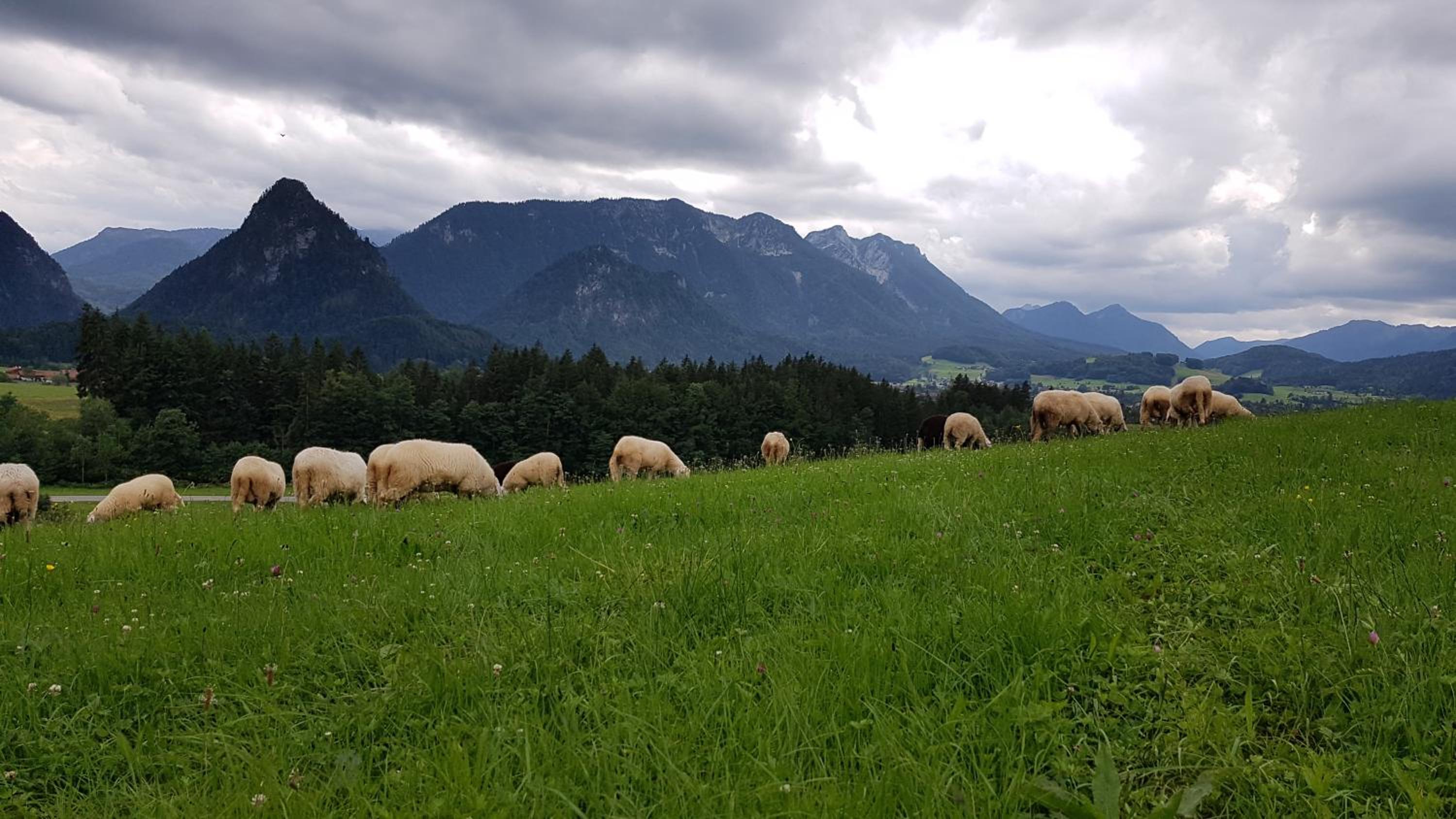 Ferienwohnung Hinterpommern - Chiemgaukarte