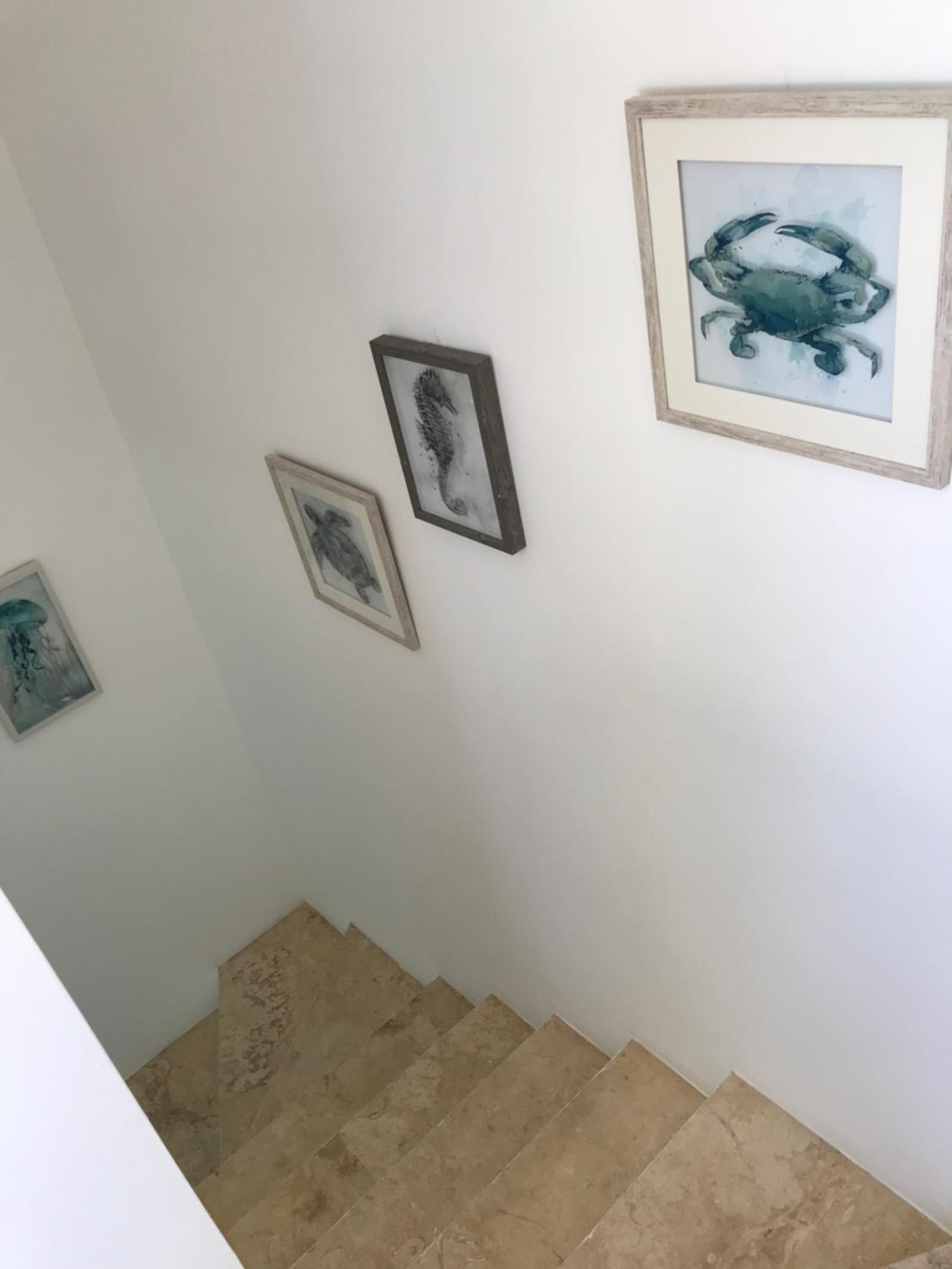 Photo 38
