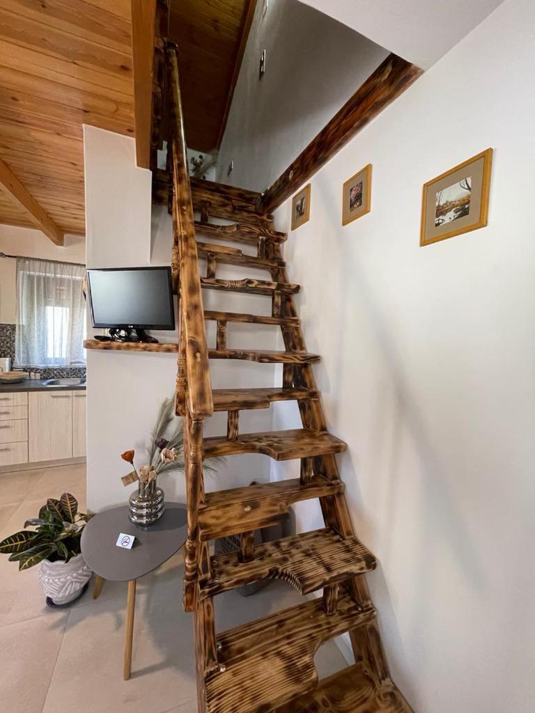 Ellin city apartments