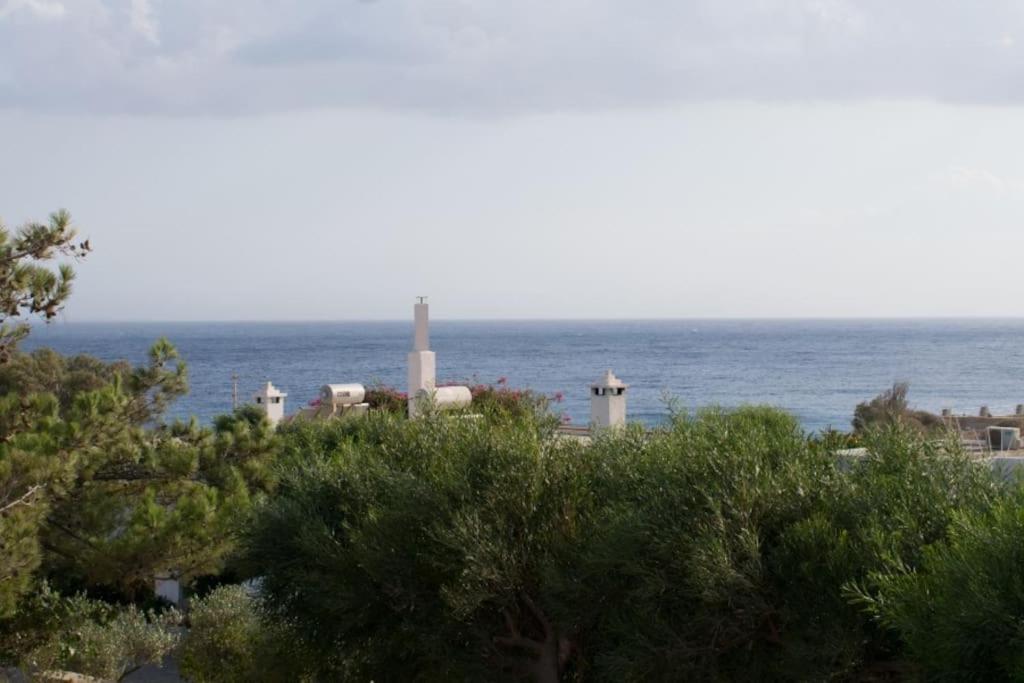 Lazaros&Pagona Houses Garden photo 5