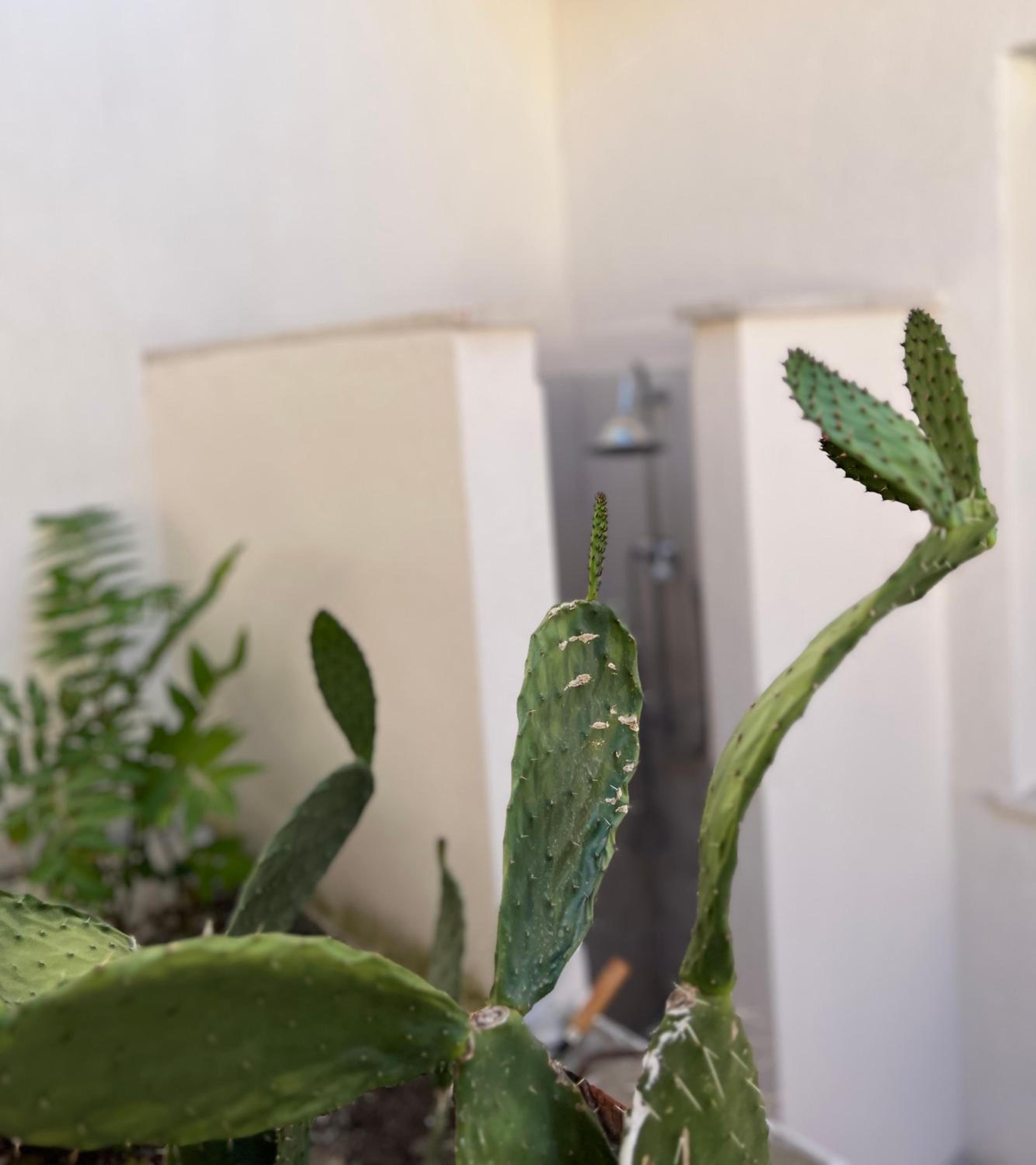 Photo 46