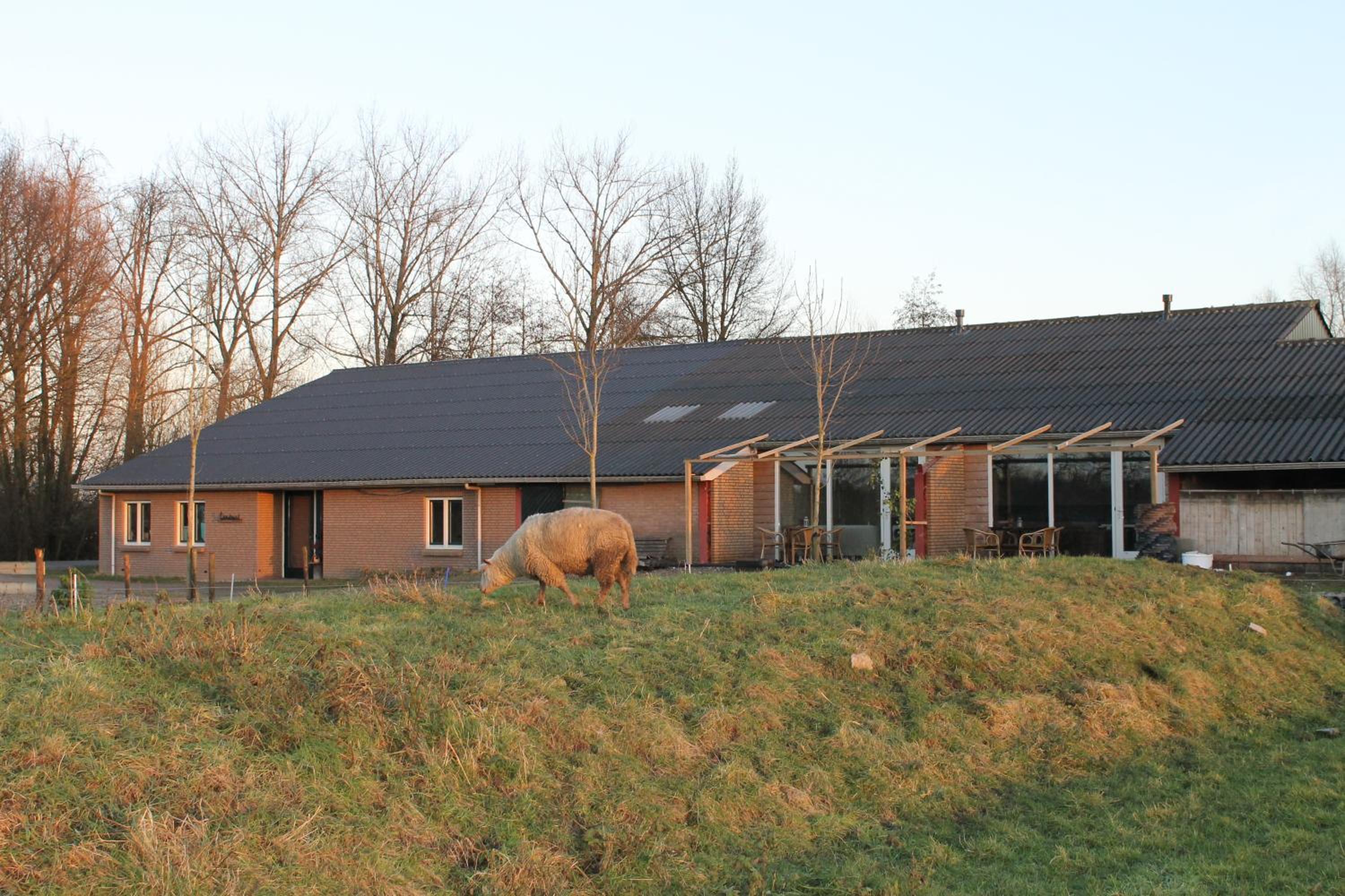 Landrust