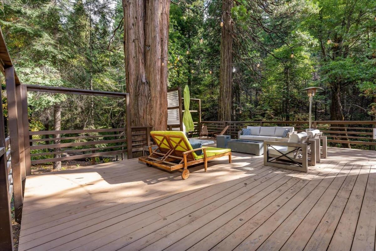 Starlight Cabin