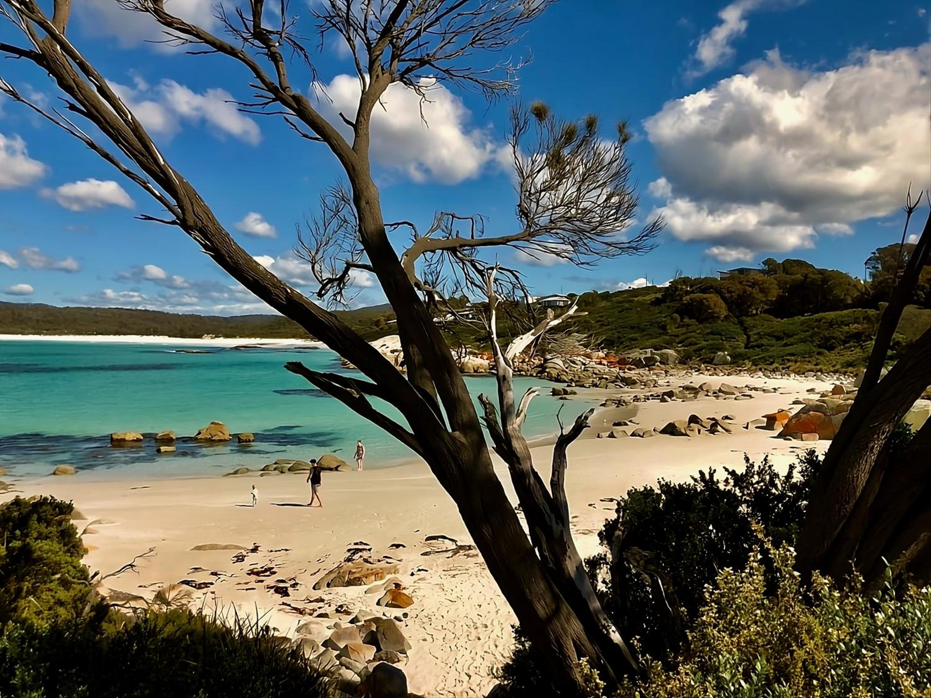 Bay of Fires Tiny Home