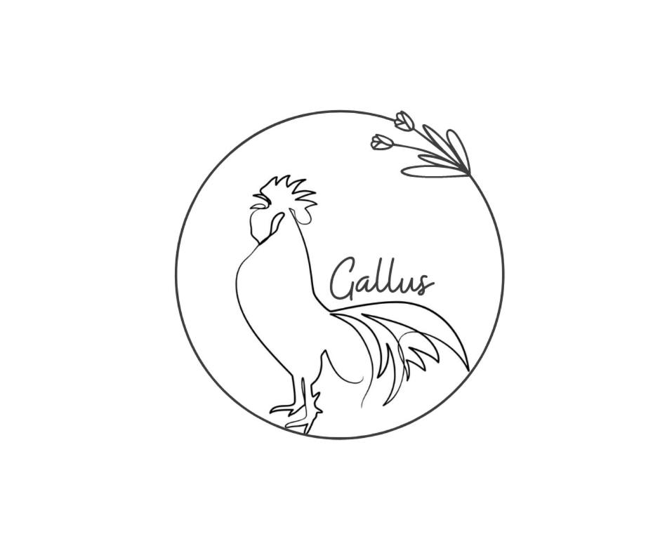 Apartment Gallus