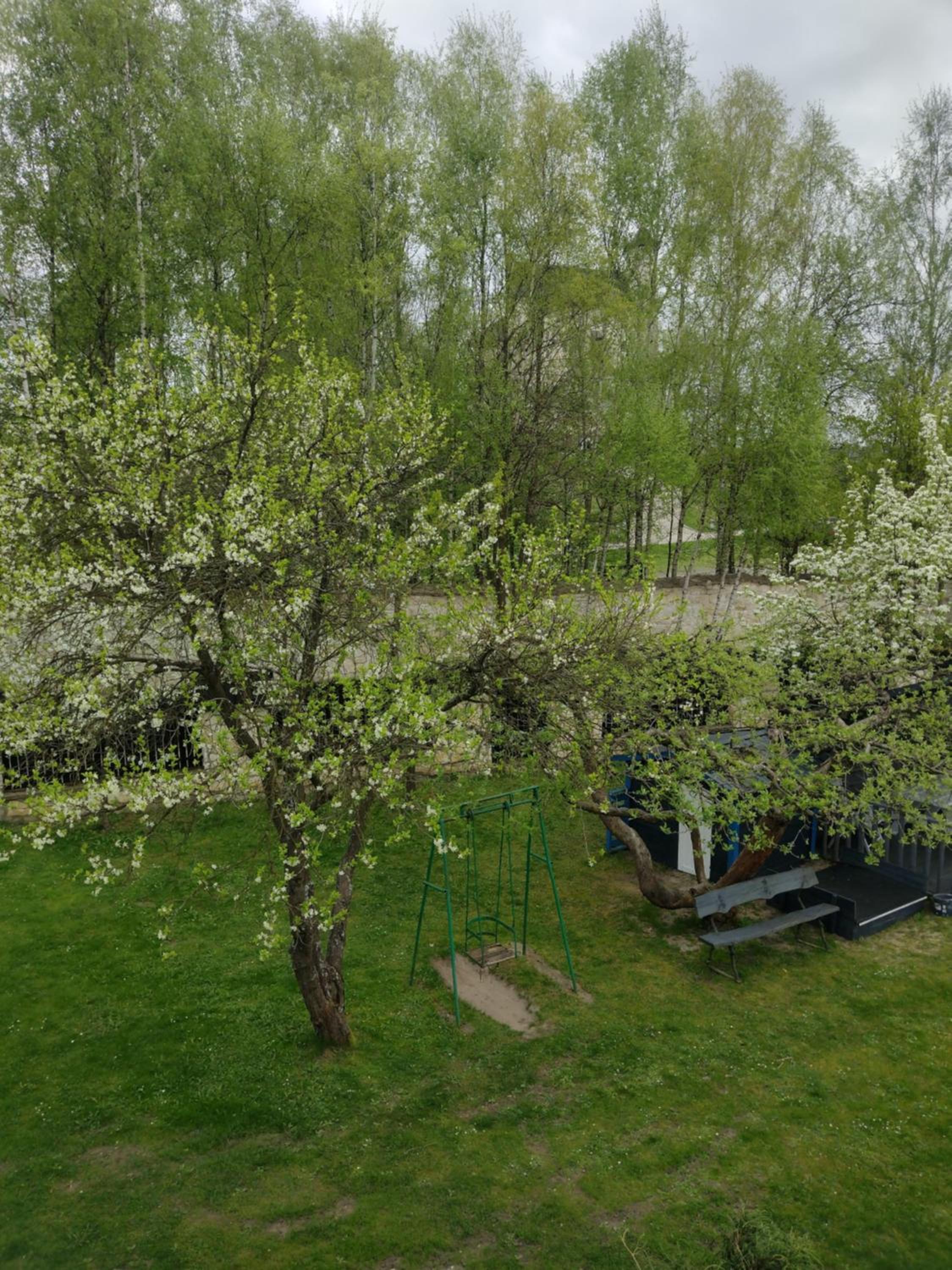 Photo 5