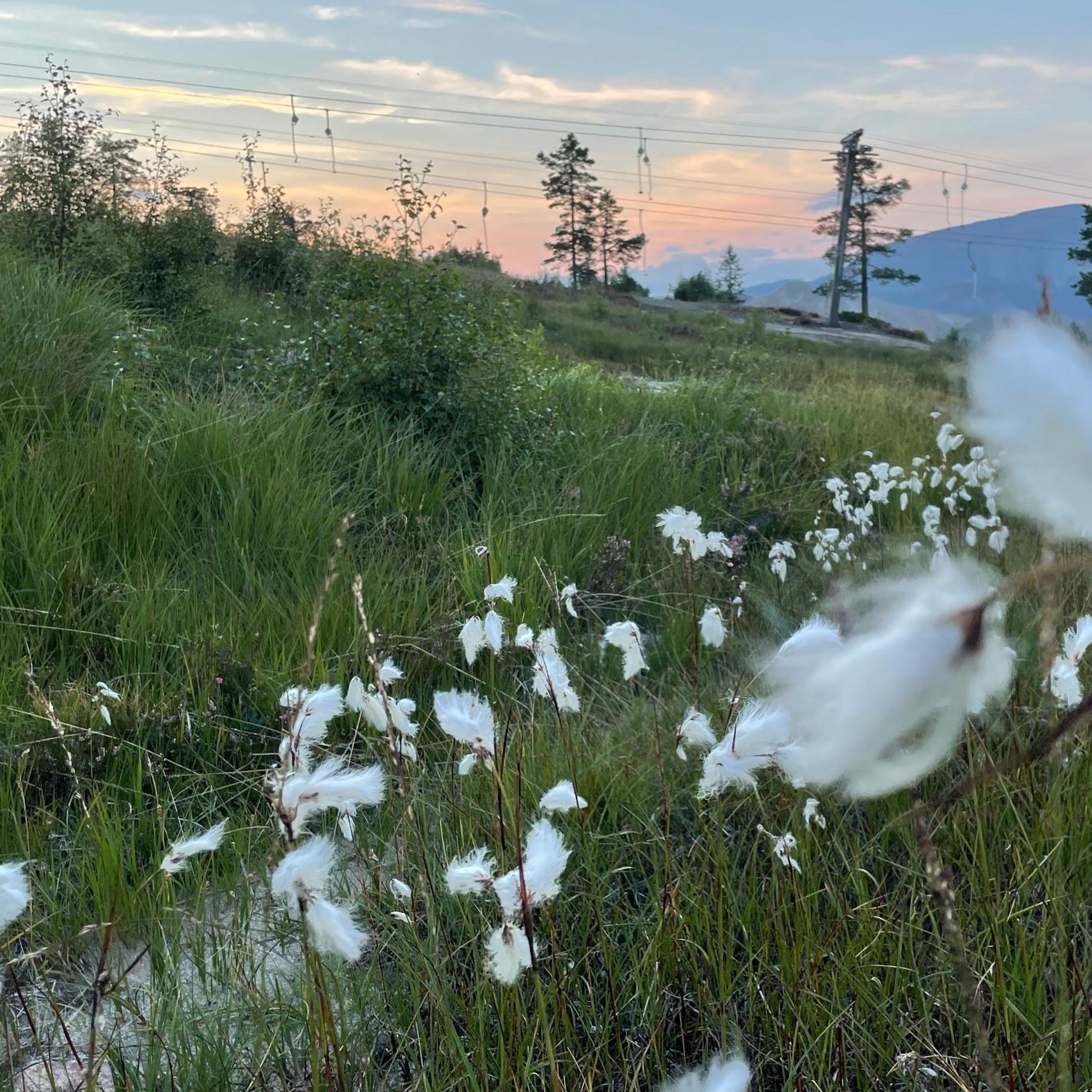 Vrådal Panorama