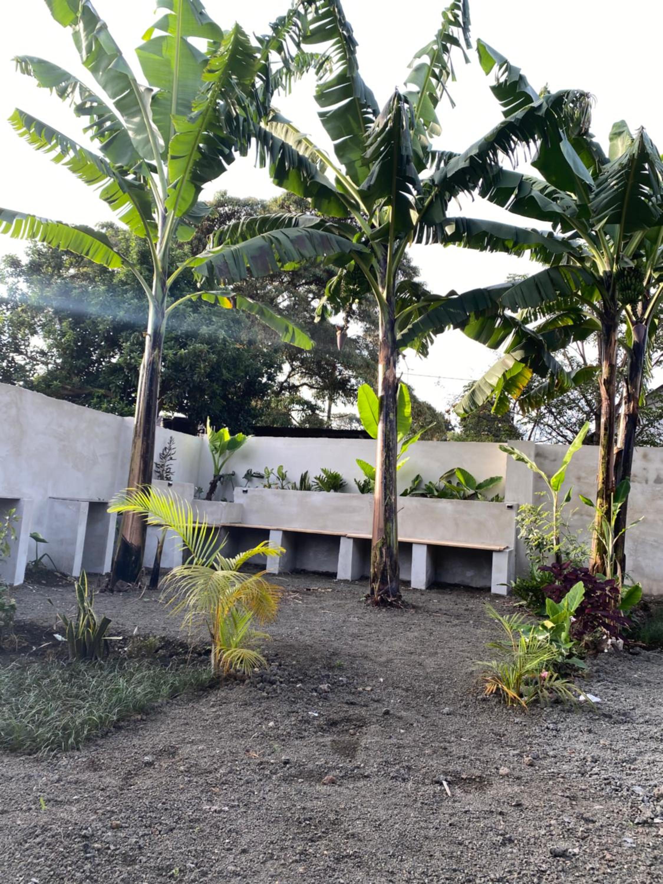 Photo 22