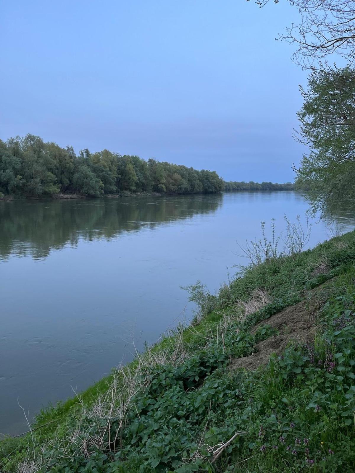 Apartman River