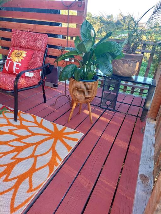 San Jose Vacations - Country Cottage on Prvt Estate w Ocean Views - Property Image 4